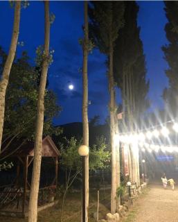 ECOHOTEL ''QIZIL Dere'' - 5
