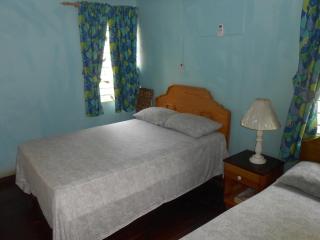 Tropical Vibe Hostel Kingston - Near Half-Way-Tree - 2