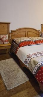 Vall’s apartment- by ski slopes - Kranjska Gora - 6