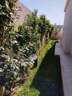 kelibia maison a 170 m de la plage Ezzahra - Kelibia - 3