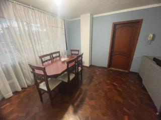 Hermoso y cómodo loft con vista a los nevados - 9