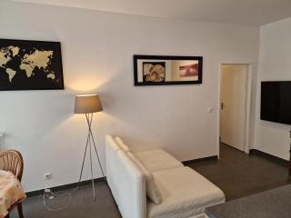 Entier beau 3pièces avec terrasse de 60m2 pour 7personnes - Châtenay-Malabry - 9
