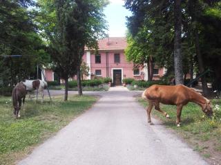 Country House Villa delle Rose Agriturismo - Rionero in Vulture - 2