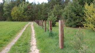 Kolorowe Wzgórze agroturystyka i konie - Trojanów - 6
