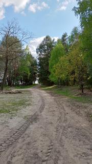 Kolorowe Wzgórze agroturystyka i konie - Trojanów - 4