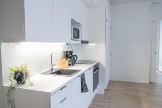 Snowflake suites VIII with private sauna - Rovaniemi - 2