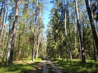 Słoneczne Mazury - Dom Wakacyjny - 2