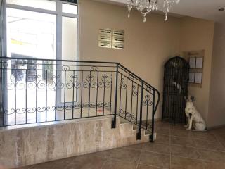 Spacious, 1 Bed Apt, Dawn Park - Sunny Beach - 5
