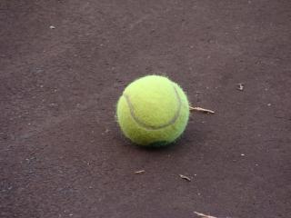 Les Tilleuls - 1