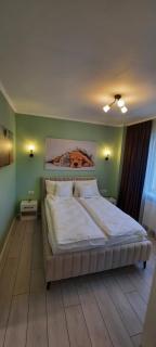 Pamy's Residence - Timişoara - 1