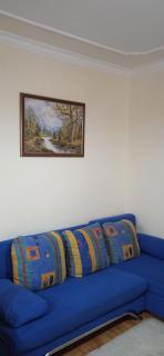 Apartman TRIČKOVIĆ - Soko Banja - 6