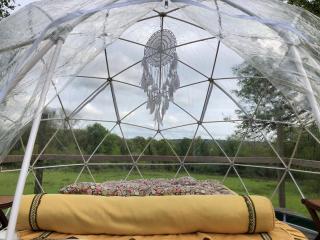 Bulle Elevage Girbal - La Chapelotte - 1