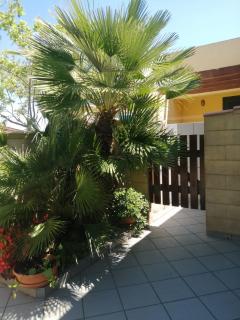 VILLA LORETTA - Torre dell'Orso - 4
