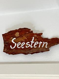 Seestern - List - 0