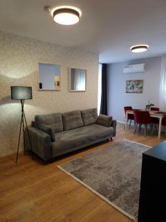 City Apartment Dorobantilor - Cluj-Napoca - 3