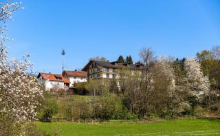 DAS PALMBERGER - Spiegelau - 7