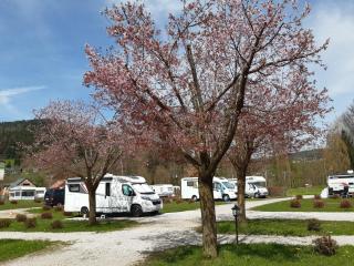 Campingfass Almtal - Scharnstein - 6