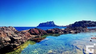 Apartamento Apolo XVI 1 19 - Grupo Turis - Calpe - 4