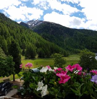 Alpin Appart Reiterhof - Niederthai - 5