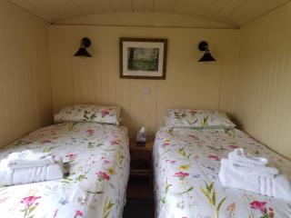 Rhydydefaid Cwt Clyd - Cosy Hut - Bala - 7