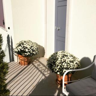 Guest house Festinalente - 3