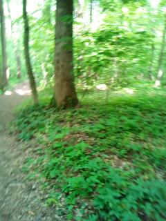 Luxe Chalet Chamonixx - Pool - 2