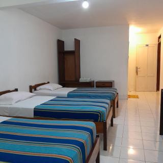 Hotel Pison - 1