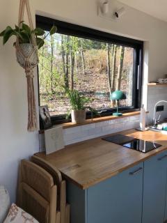 Cozy Cabins I Tiny House Seecontainer - Hahnenklee-Bockswiese - 9