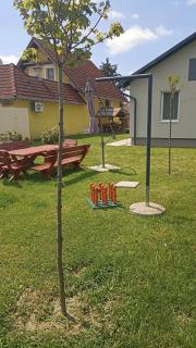 Süni apartman - Ordacsehi - 2