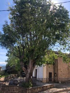 Duplex au Village - 4