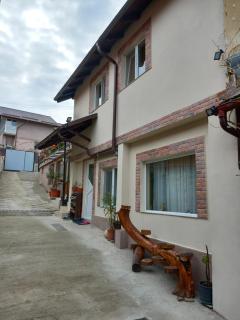 Casa Rariana - Călimăneşti - 5
