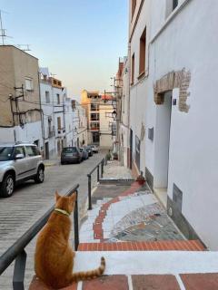 Townhouse - Casa rústica entre mar y montaña - Alcanar - 6