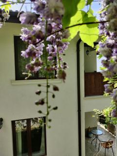 Cloudbase Guesthouse - 3