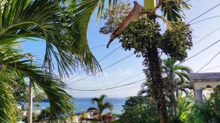 Bay View Apt Quiet Area Weekly - monthly - Santa Bárbara de Samaná - 9