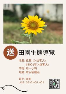 Jin Dun Yuan - Jinning - 8