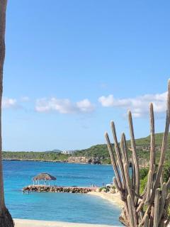 Ocean Front VillaDelMar-Beach Access-Private Pool-10 Guests- - Willibrordus - 0
