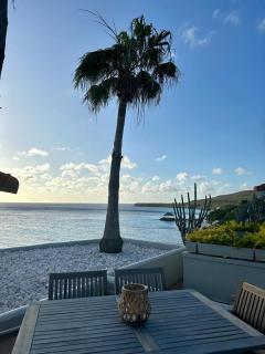 Ocean Front VillaDelMar-Beach Access-Private Pool-10 Guests- - Willibrordus - 1