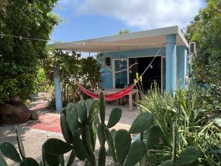 Tropical Breeze "Dushi Bida" - Santa Catharina - 6