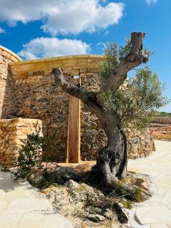 I Trulli di Giorgia - Torre Suda - 1