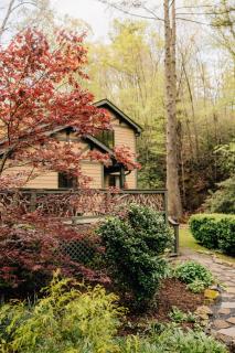 Dog Friendly HotTub 20 Min DT Black Mtn - Black Mountain - 8