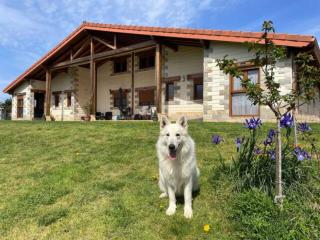Ven y disfruta en el corazón de Bizkaia-Urdaibai LBI00509 - Gautegiz Arteaga - 3