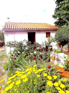 Apartment Garden - 9