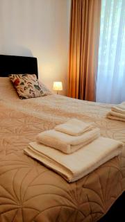 Apart Relax Turda - Turda - 6