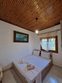 Dream in Chalkidiki 2 bedroom villa with garden - Néa Tríglia - 3