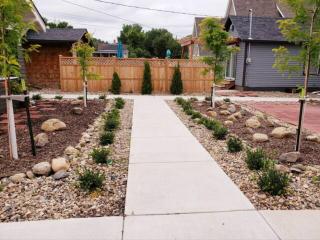 Downtown 1 Bedroom Charmer - Walk, Bike, Enjoy!! - 3