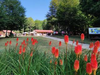 Orme nel parco - Villaggio Grechi - 7