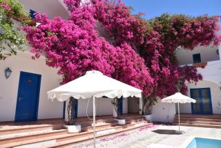 Boutique Hotel Tilos Mare - Livadia - 1