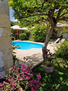Bungalows du Soleil - Piscine Jardin Fleuri - Le Gosier - 5
