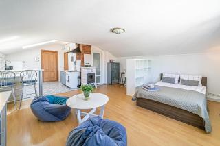 Artist Apartment with city view - Kaunas - 8