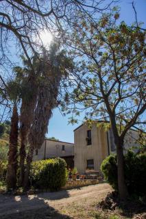 Agriturismo Tarantola - Alcamo - 1